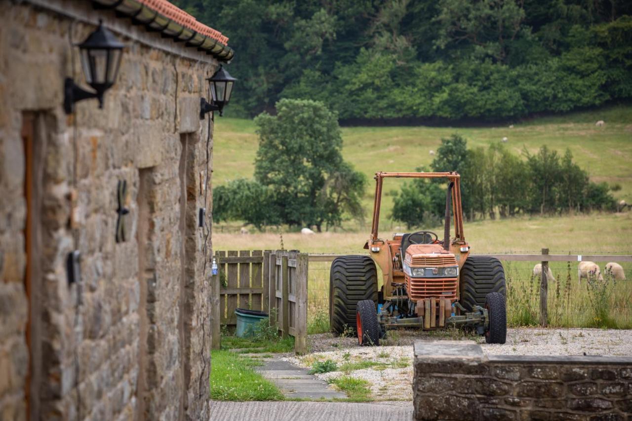 Rawcliffe House Farm Villa Pickering Exterior foto