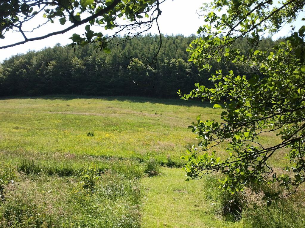 Rawcliffe House Farm Villa Pickering Exterior foto